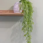 Stylish 1br Flat Garden Balcony Parking Варна